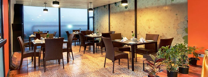 1661/The Pamposh - New Delhi 05.jpg